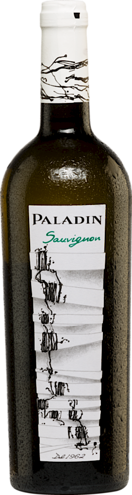 2024 Sauvignon Trevenezie IGP