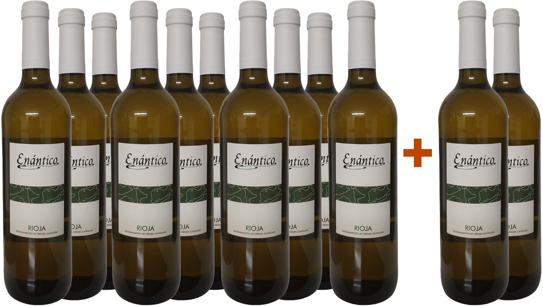 10+2 Aktionspaket Enántico Blanco Viura Rioja DOCa