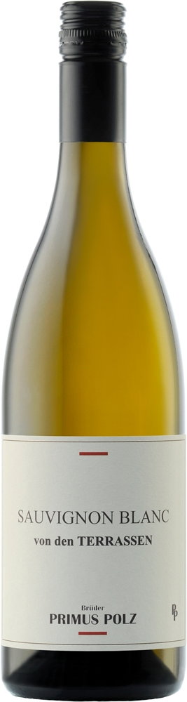 2024 Sauvignon Blanc von den TERRASSEN - Slowenien