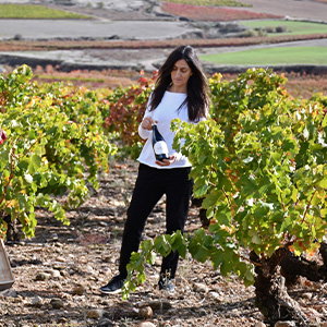 Bodegas Aradón