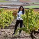 Bodegas Aradón