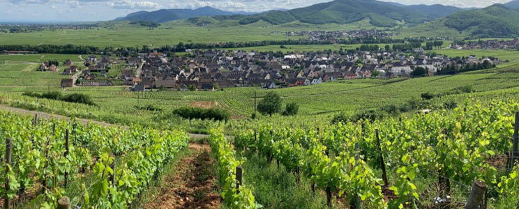 Domaine Marcel Deiss