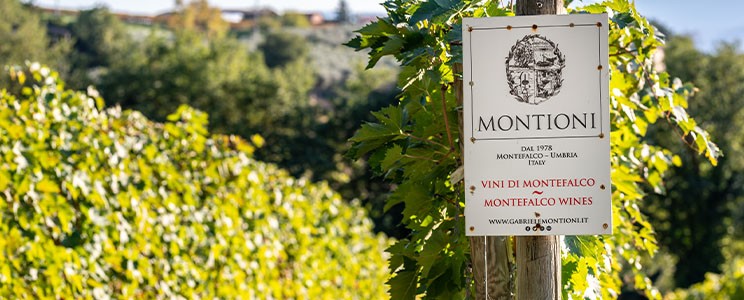 Montioni