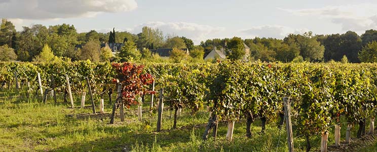 Domaine de l'Abbé-Dîne