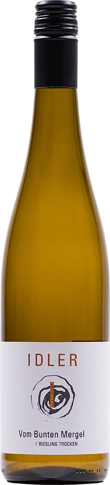 2024 "Vom Bunten Mergel" Strümpfelbach RIESLING BIO