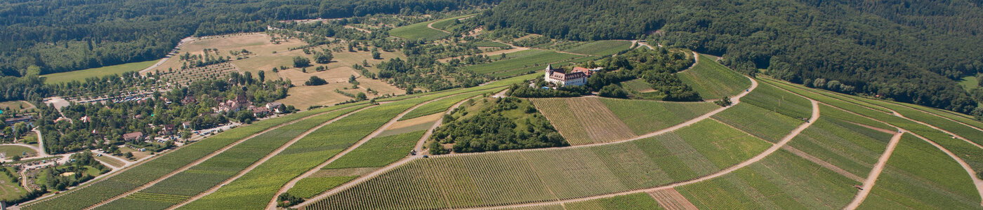 Privatkellerei Storz