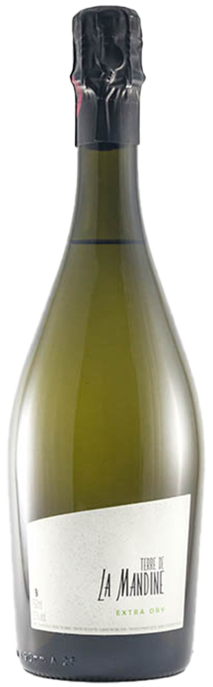 Terre de la Mandine