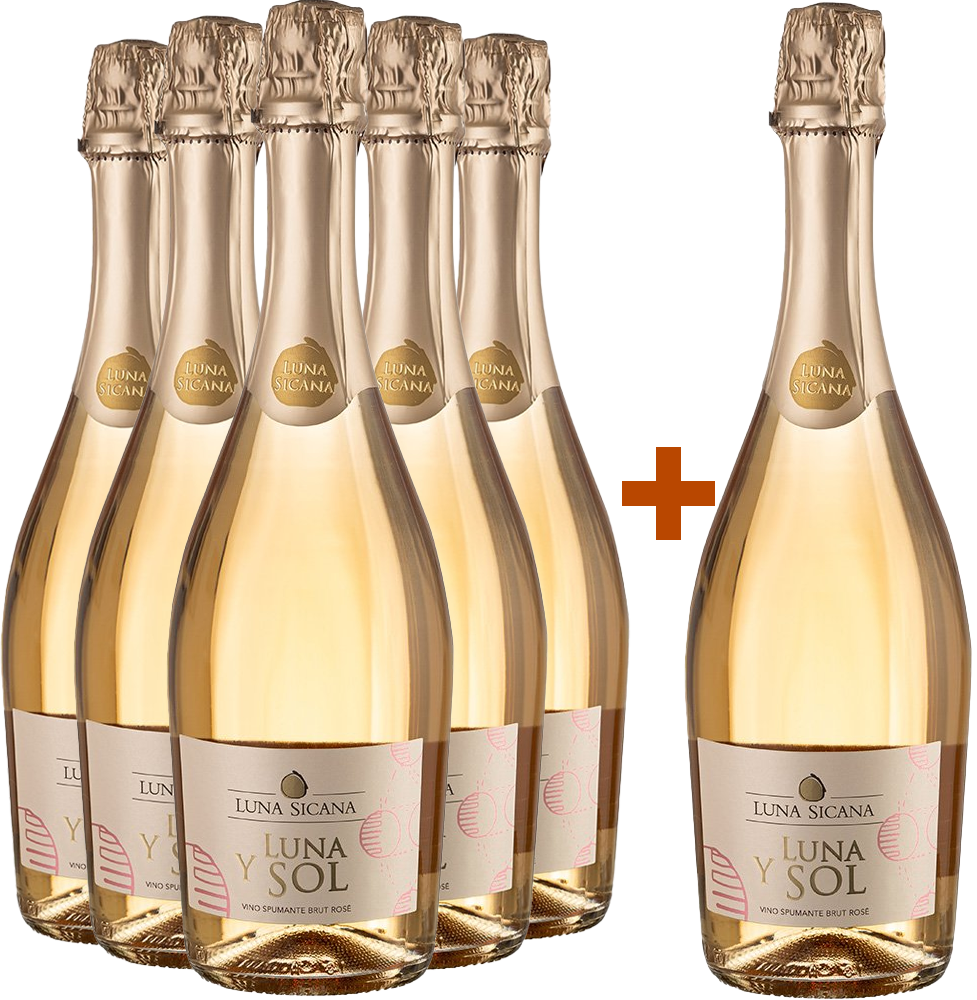 5+1 Paket Luna Y Sol Spumante Rosé BIO BIO