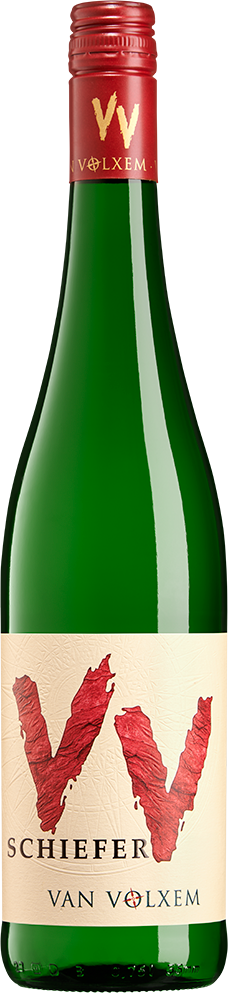 2023 VV Schiefer