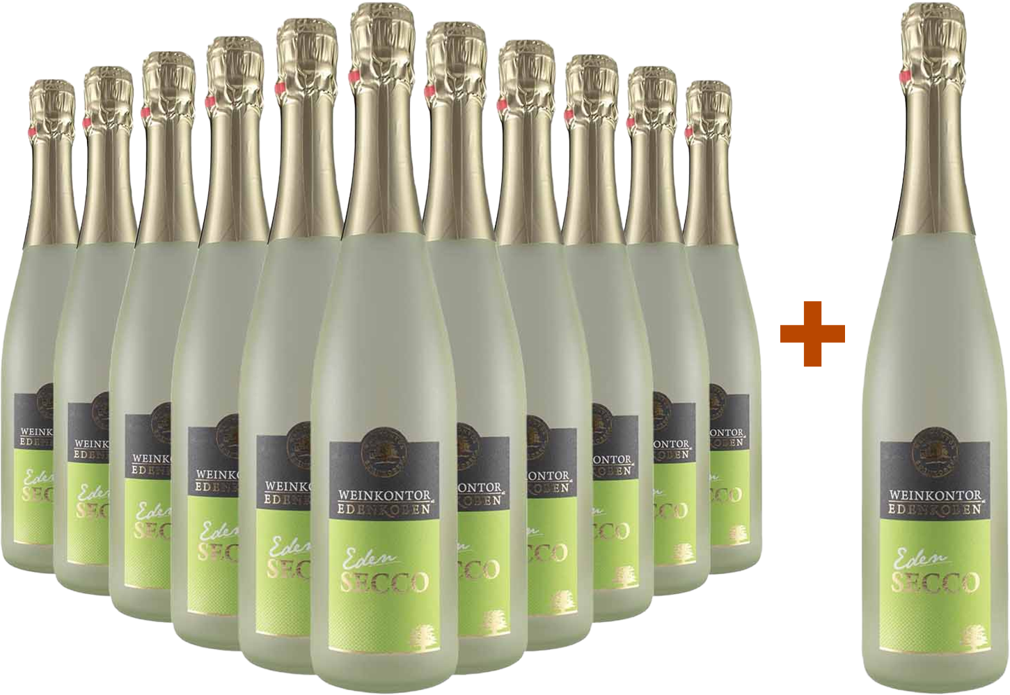 11+1 Paket "Eden" Secco weiß