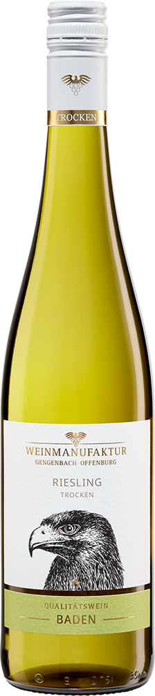 2025 Klingelberger Riesling