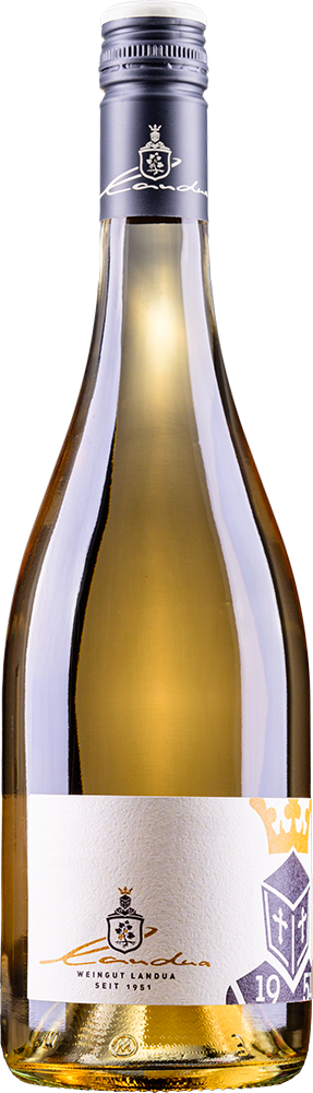 2024 | Spätburgunder blanc de noir Qualitätswein |