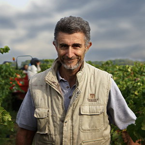 Domaine Gassier