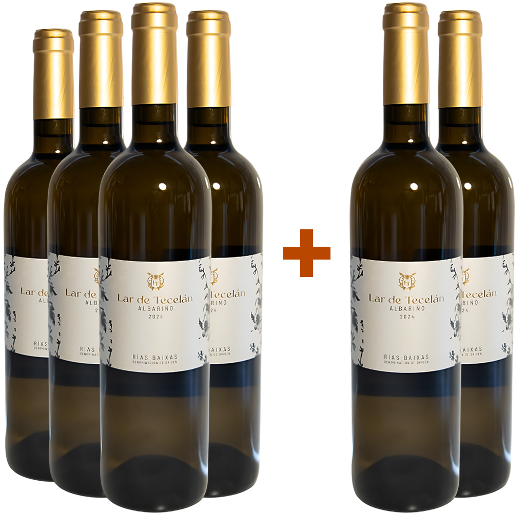 Pack descuento 4+2 Lar de Tecelán Rias Baixas DO
