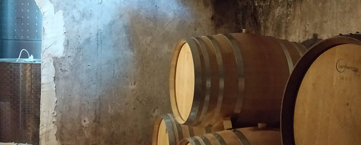 Vins Algars
