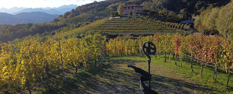 Podere ai Valloni