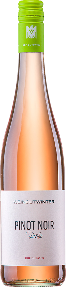 2024 PINOT NOIR Rosé | VDP.Gutswein