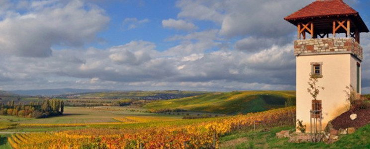 Familienweingut Dechent