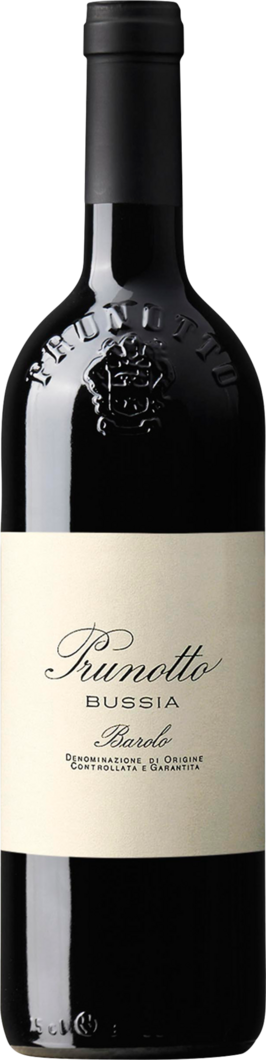 2004 Bussia Barolo