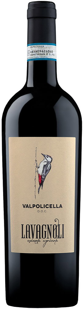 2024 Valpolicella DOC