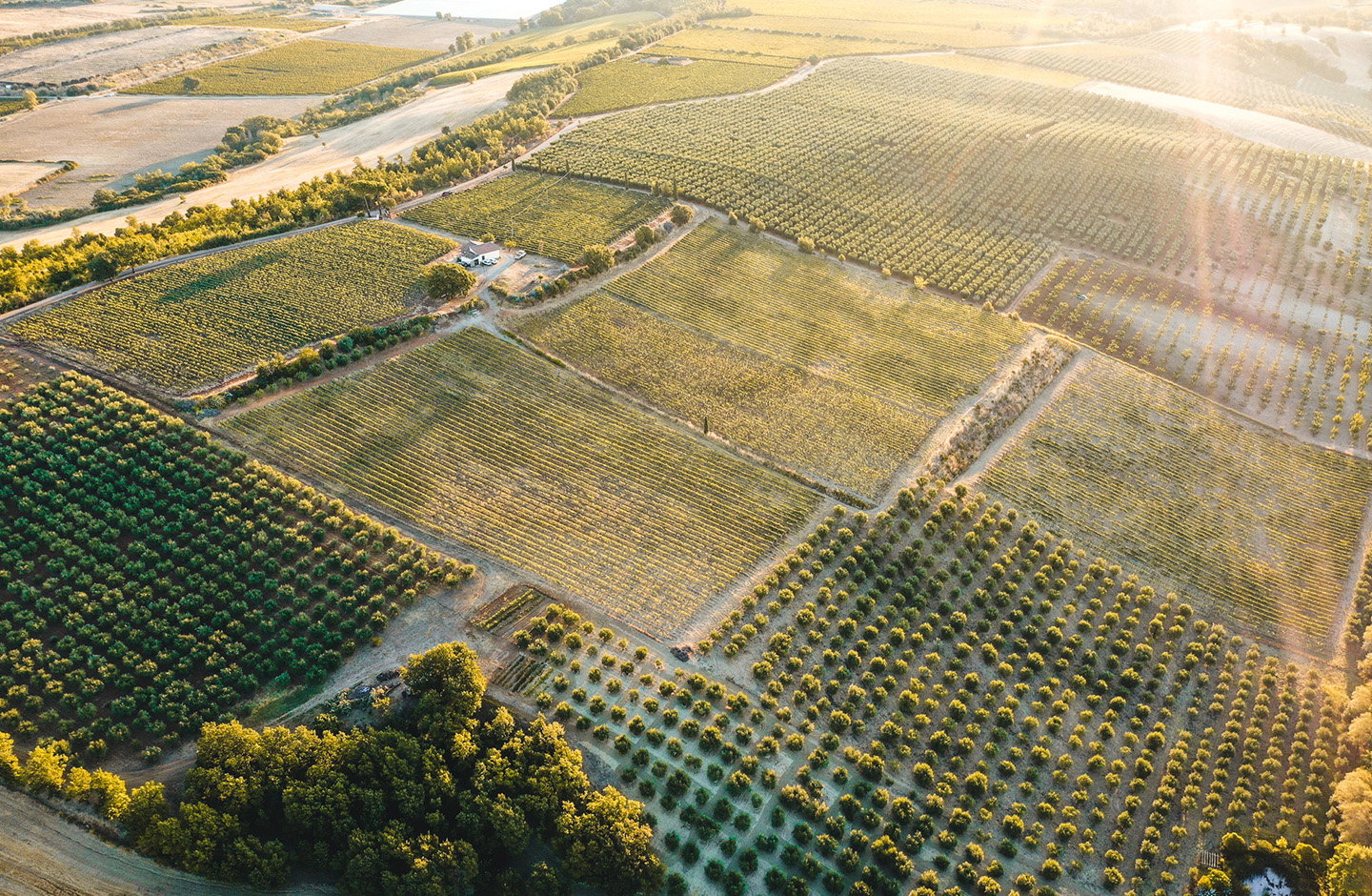 Terre di Balbia