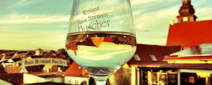 Hans Hermann Buscher