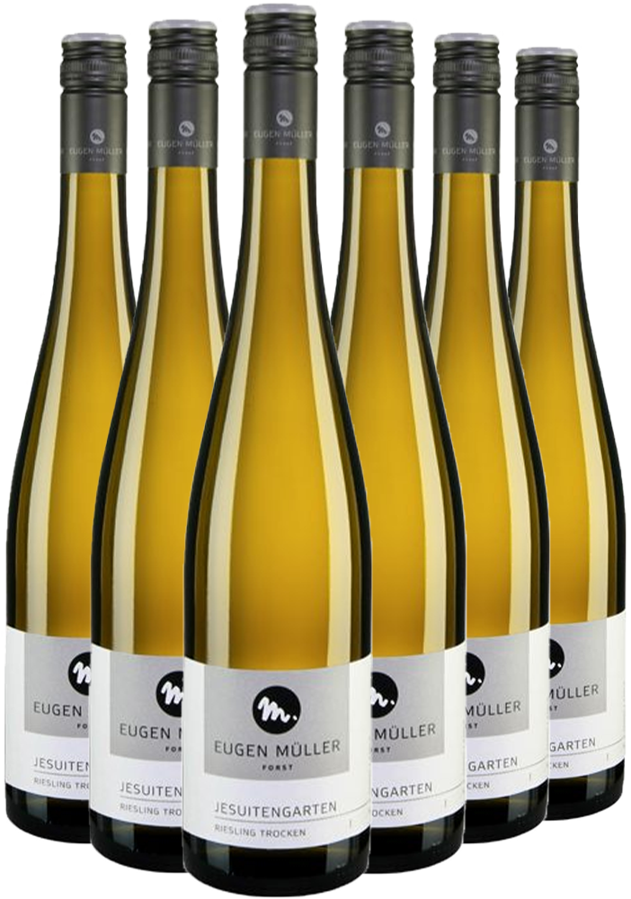 Paket Riesling "Jesuitengarten" trocken