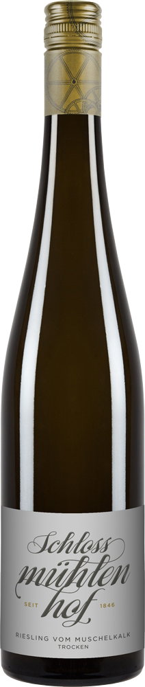 2022 Riesling Muschelkalk reflection