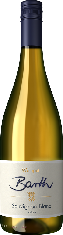 2025 Sauvignon Blanc