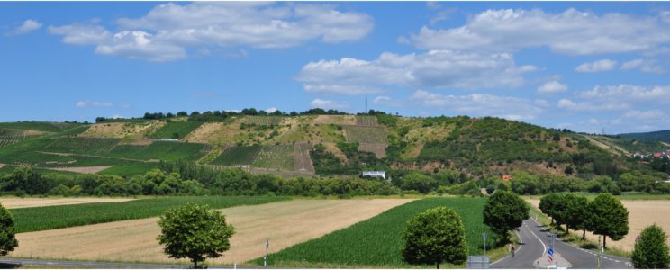Weingut Emrich-Schönleber