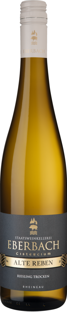 2025 Cistercium Riesling Alte Reben