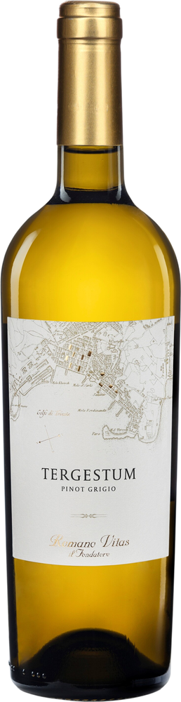 2023 Tergestum Pinot Grigio Friuli DOC