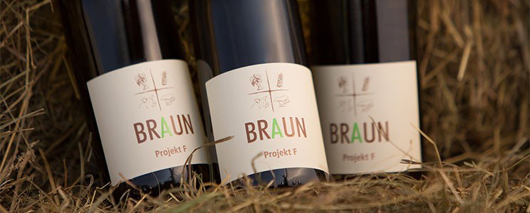 Armin Braun