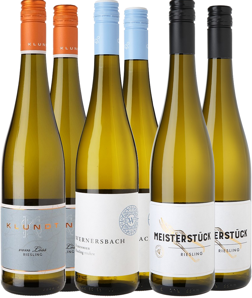 Riesling Entdecker-Paket
