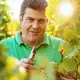 Weingut Studeny