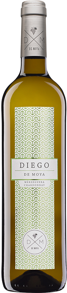 2024 "Diego" Merseguera