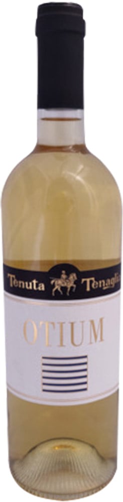 2023 Otium Vino Bianco Piemonte DOC