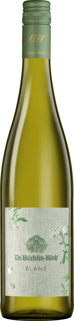 2024 Dr. Bürklin-Wolf Cuvée Blanc BIO