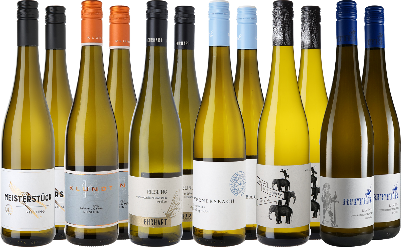 Großes Riesling Entdecker-Paket