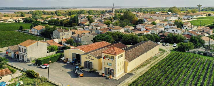 Bruno Saintout