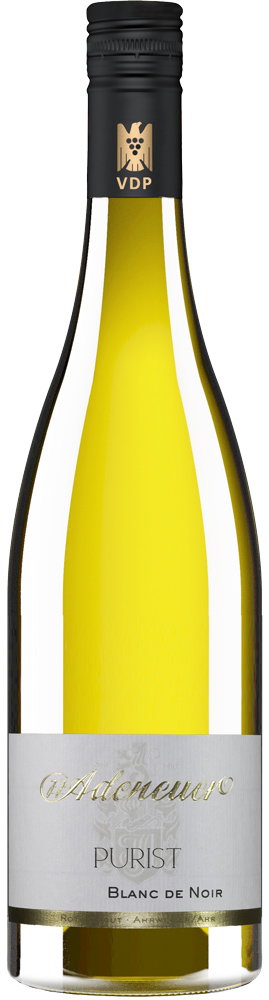 2025 PURIST - Blanc de Noir Spätburgunder