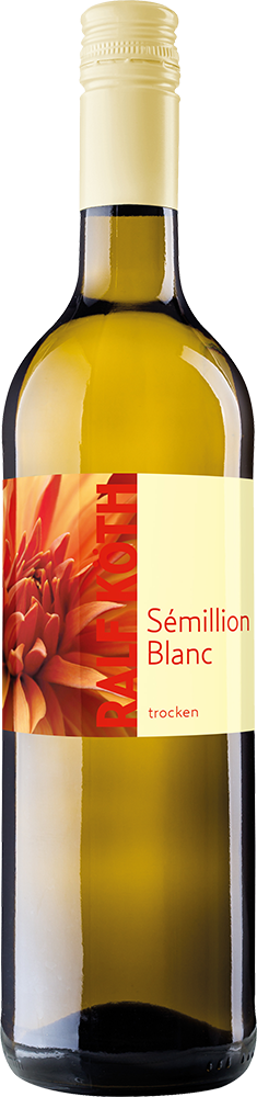 2025 Sémillon Blanc