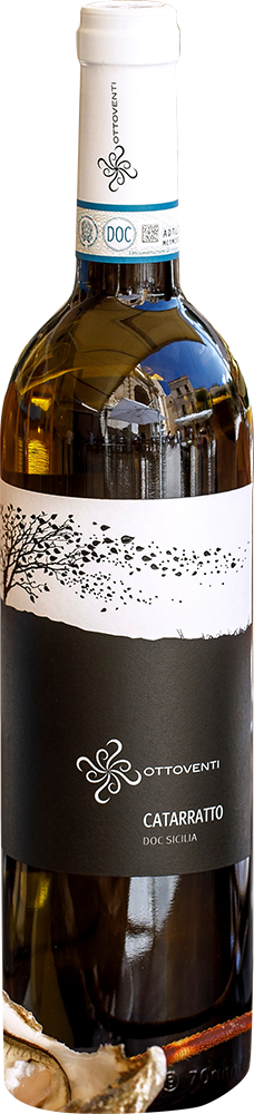 2024 Catarratto Sicilia DOC BIO
