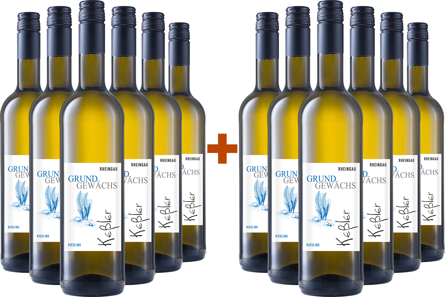 6+6 Paket Grundgewächs Hallgarten Riesling Kabinett trocken