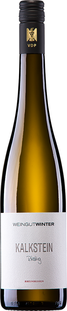 2024 KALKSTEIN Riesling reflection