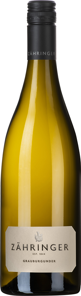 2024 Grauburgunder Gutswein BIO