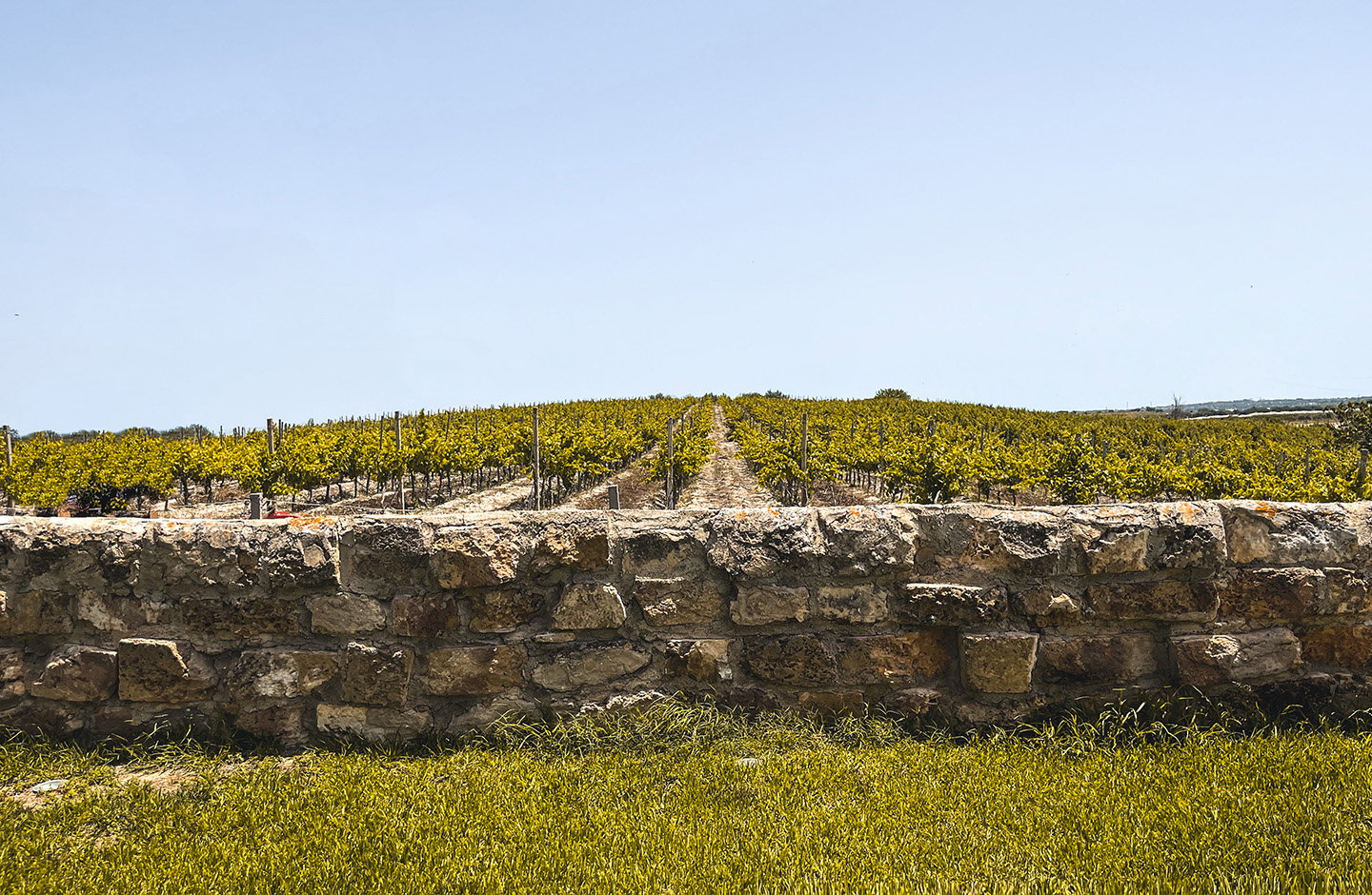 Tenuta La Favola