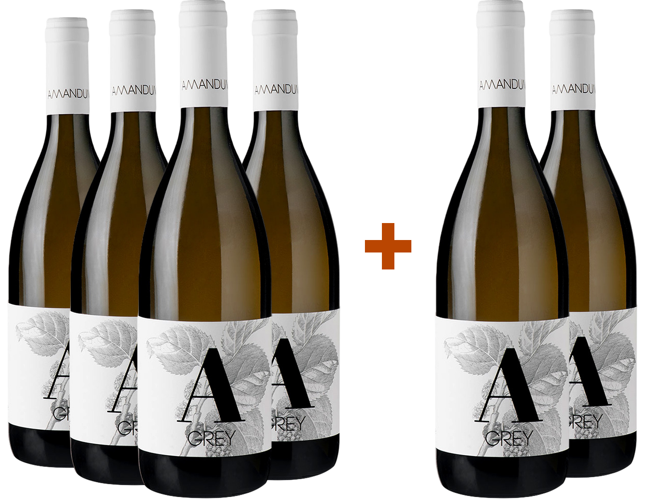 4+2 Paket Pinot Bianco Friuli Isonzo DOC