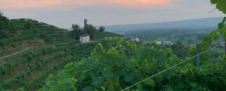 Colle Regina
