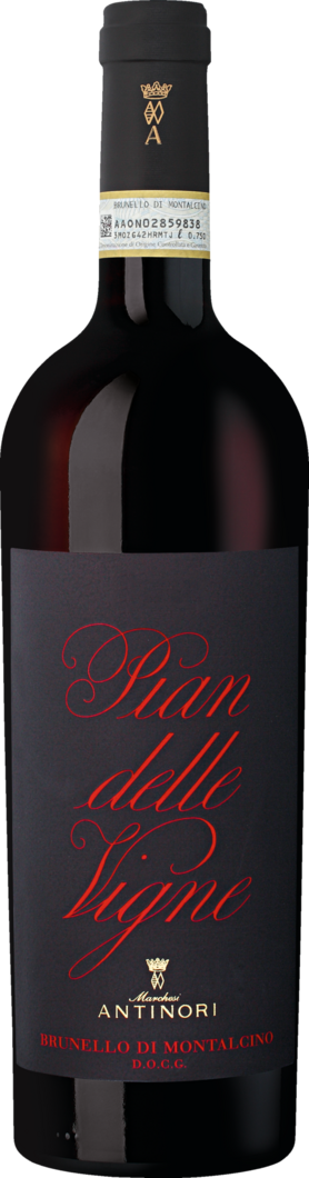 2021 Pian delle Vigne Brunello reflection